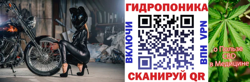 hydra сайт  Алдан  Шишки марихуана семена  где купить наркоту 